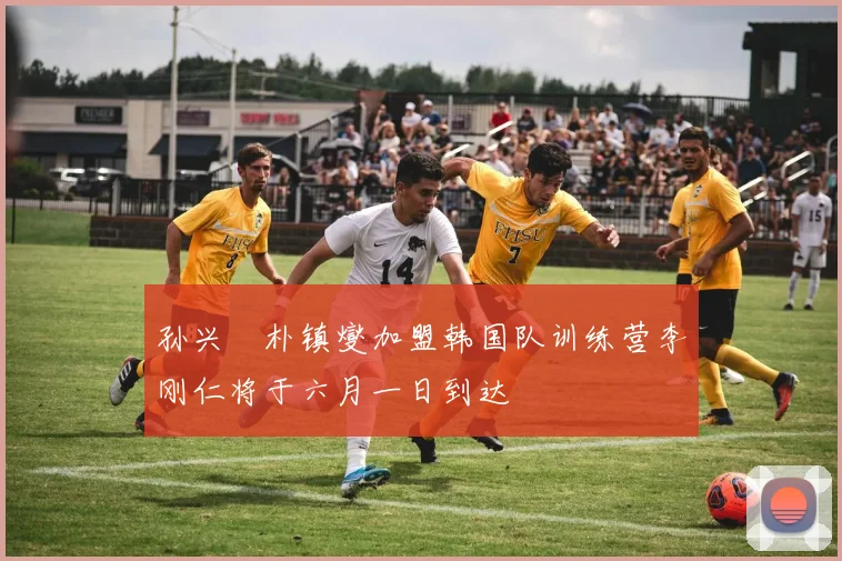 孙兴慜朴镇燮加盟韩国队训练营李刚仁将于六月一日到达